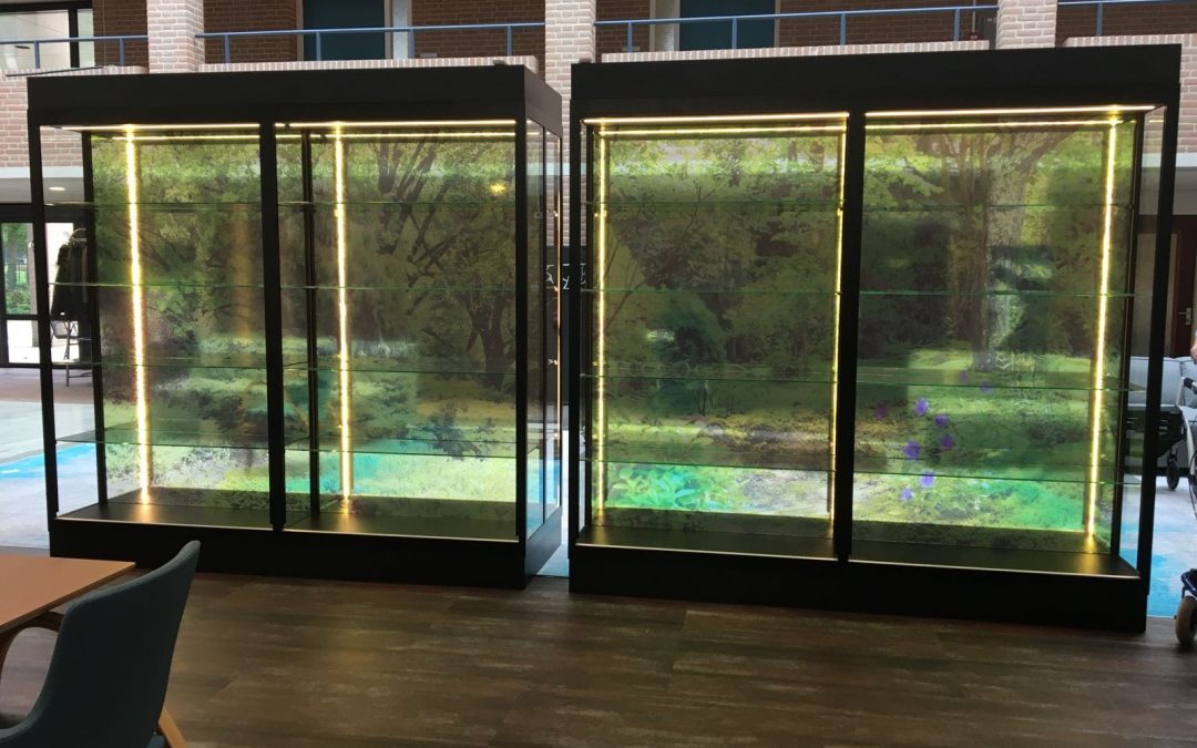 Glazen kast met transparante visual