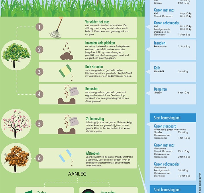 Infographic | Groener Gras Hoveniers